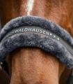 Kantar-WALDHAUSEN-Elegant-asphalt-05