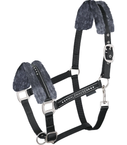 Kantar WALDHAUSEN "Elegant" black