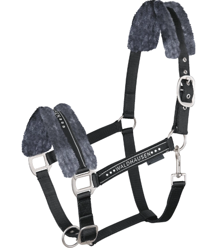 Kantar-WALDHAUSEN-Elegant-black-01