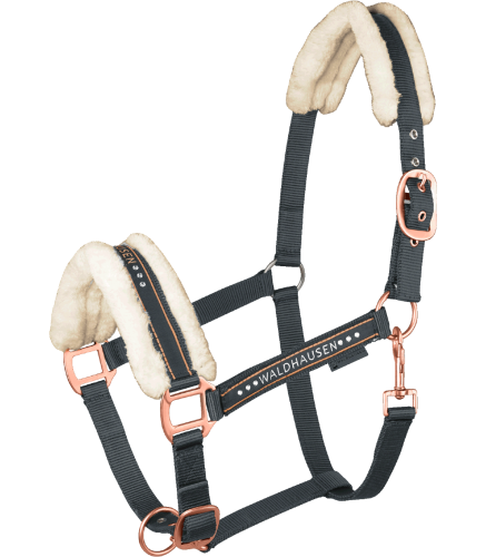 Kantar-WALDHAUSEN-Elegant-black/rosegold-01