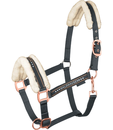 Kantar-WALDHAUSEN-Elegant-black/rosegold-01