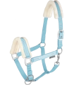 Kantar-WALDHAUSEN-Elegant-chrome-light-blue-01
