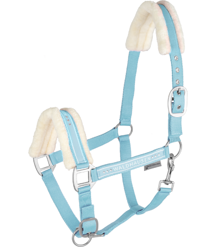 Kantar-WALDHAUSEN-Elegant-chrome-light-blue-01