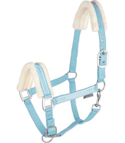 Kantar-WALDHAUSEN-Elegant-chrome-light-blue-01