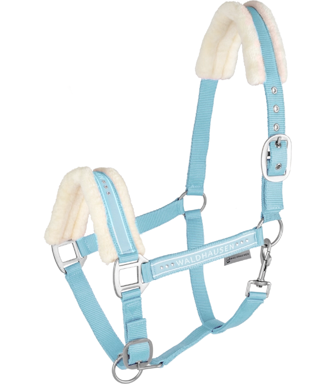 Kantar-WALDHAUSEN-Elegant-chrome-light-blue-01