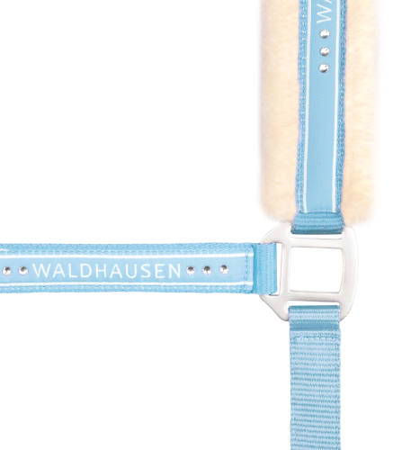Kantar-WALDHAUSEN-Elegant-chrome-light-blue-02