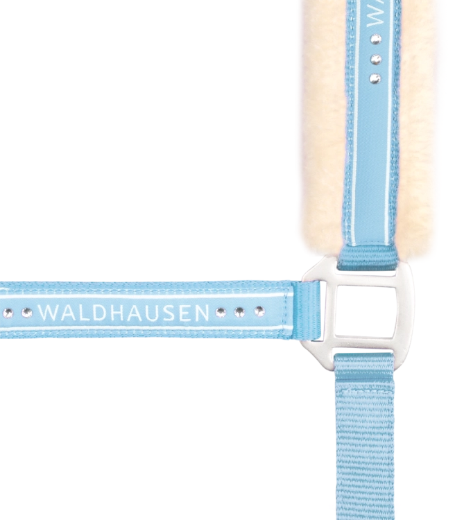 Kantar-WALDHAUSEN-Elegant-chrome-light-blue-02