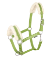 Kantar-WALDHAUSEN-Elegant-lime-green-01