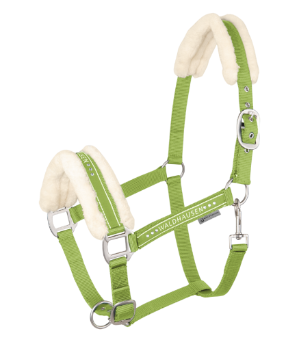 Kantar-WALDHAUSEN-Elegant-lime-green-01