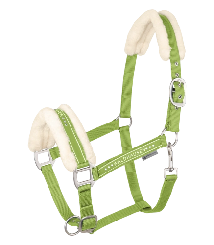 Kantar-WALDHAUSEN-Elegant-lime-green-01