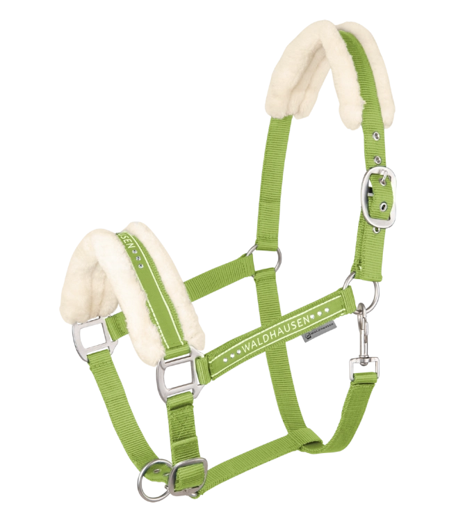 Kantar-WALDHAUSEN-Elegant-lime-green-01