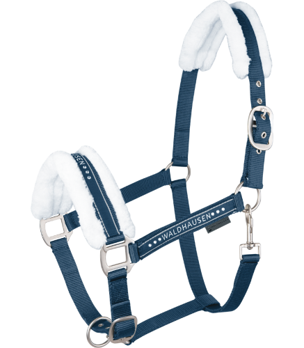 Kantar-WALDHAUSEN-Elegant-night-blue-01