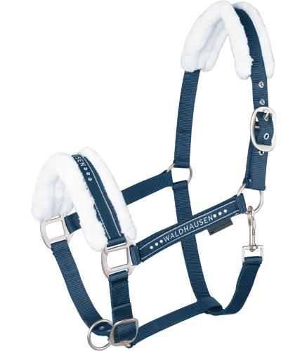 Kantar-WALDHAUSEN-Elegant-night-blue-01