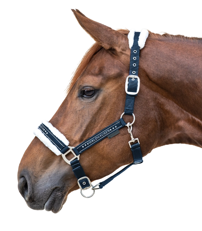 Kantar-WALDHAUSEN-Elegant-night-blue-03