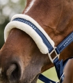 Kantar-WALDHAUSEN-Elegant-night-blue-05