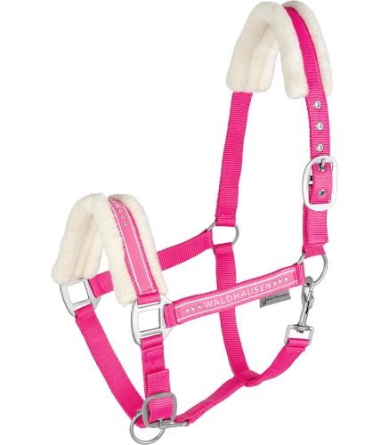 Kantar-WALDHAUSEN-Elegant-pink-01