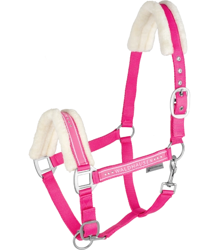 Kantar-WALDHAUSEN-Elegant-pink-01