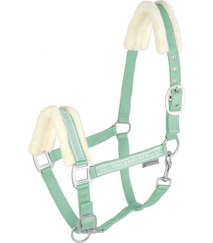 Kantar-WALDHAUSEN-Elegant-pistachio-01