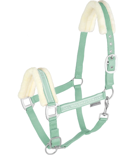 Kantar-WALDHAUSEN-Elegant-pistachio-01