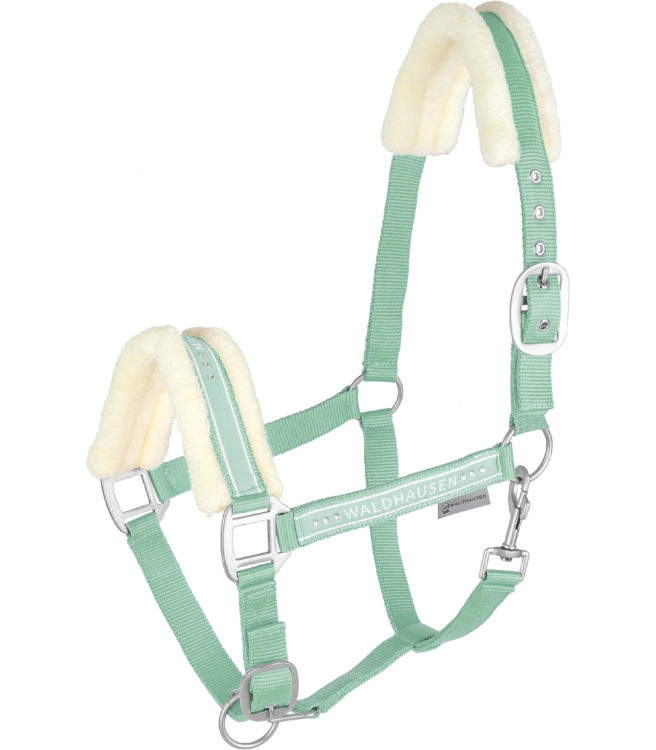 Kantar-WALDHAUSEN-Elegant-pistachio-01