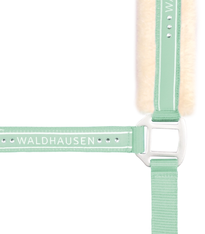 Kantar-WALDHAUSEN-Elegant-pistachio-03