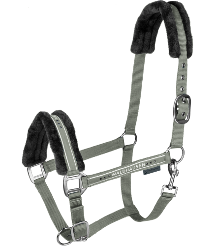 Kantar-WALDHAUSEN-Elegant-sage-01