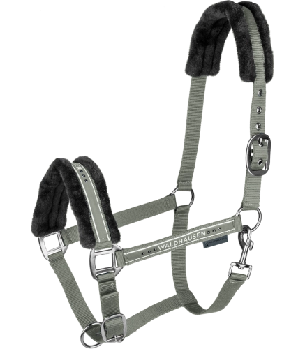 Kantar-WALDHAUSEN-Elegant-sage-01