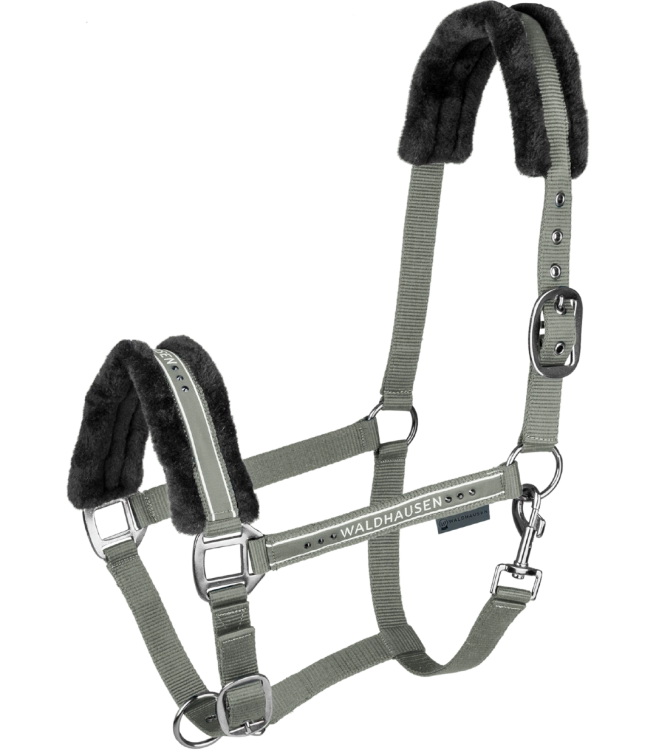 Kantar-WALDHAUSEN-Elegant-sage-01