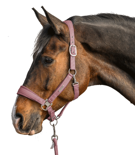 Kantar-z-uwiazem-WALDHAUSEN-Velvet-Set-dusky-pink-02