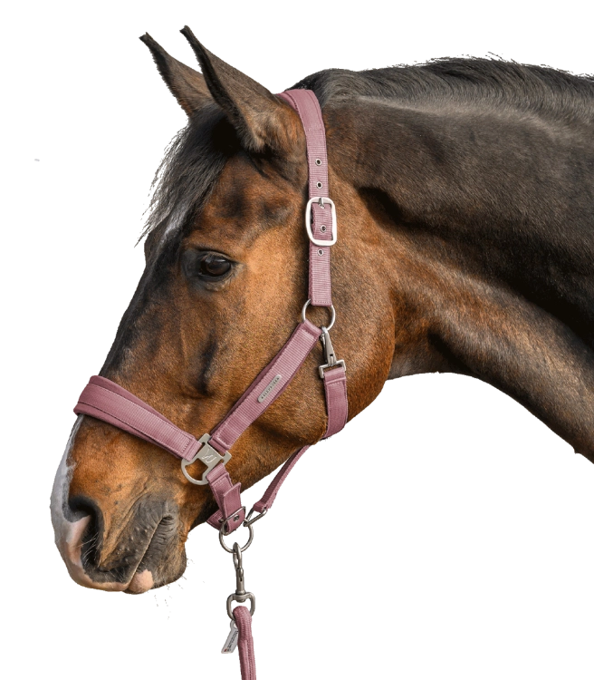 Kantar-z-uwiazem-WALDHAUSEN-Velvet-Set-dusky-pink-02