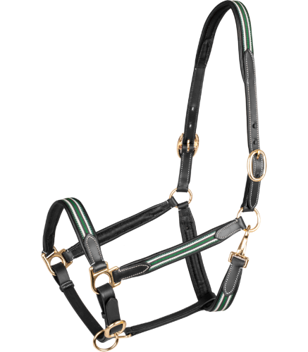Kantar-skorzany-WALDHAUSEN-X-Line-Oxford-Leather-black-green-01