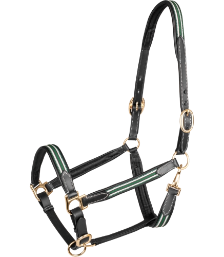 Kantar-skorzany-WALDHAUSEN-X-Line-Oxford-Leather-black-green-01