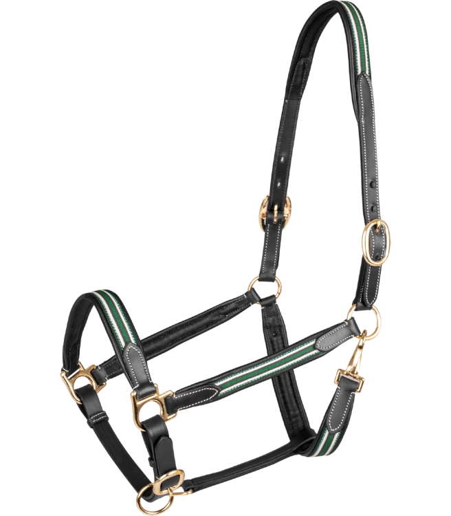 Kantar-skorzany-WALDHAUSEN-X-Line-Oxford-Leather-black-green-01