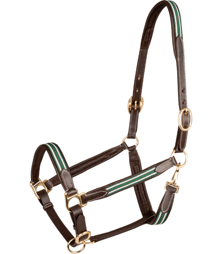 Kantar-skorzany-WALDHAUSEN-X-Line-Oxford-Leather-brown-green-01