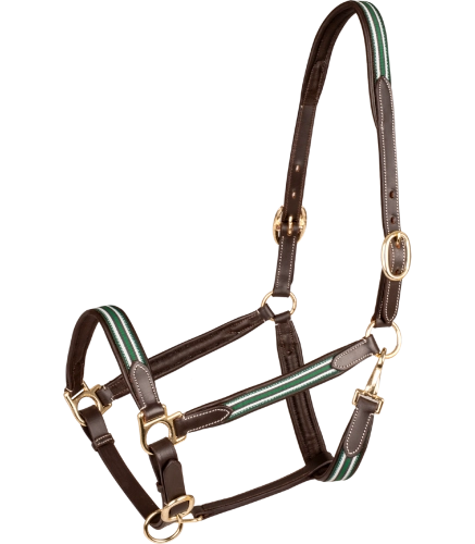 Kantar-skorzany-WALDHAUSEN-X-Line-Oxford-Leather-brown-green-01