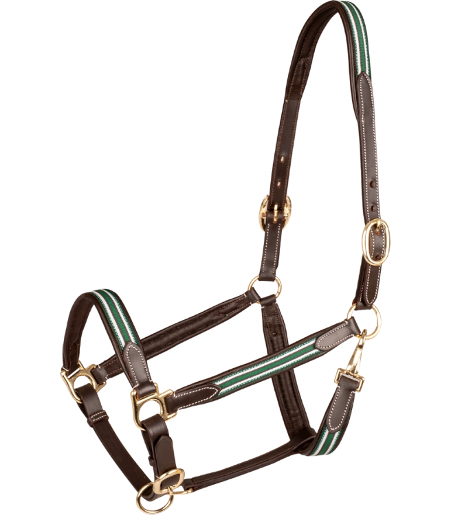 Kantar-skorzany-WALDHAUSEN-X-Line-Oxford-Leather-brown-green-01