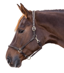 Kantar-skorzany-WALDHAUSEN-X-Line-Leather-Nevada-brown-02