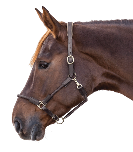 Kantar-skorzany-WALDHAUSEN-X-Line-Leather-Nevada-brown-02