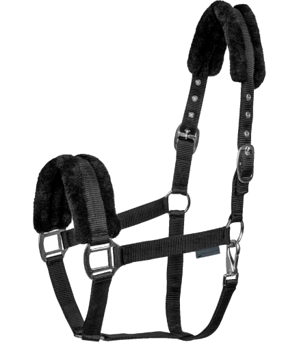 Kantar-WALDHAUSEN-First-Halter-black-01