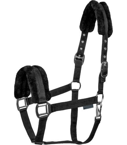 Kantar-WALDHAUSEN-First-Halter-black-01