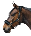 Kantar-WALDHAUSEN-First-Halter-black-02
