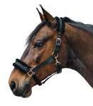 Kantar-WALDHAUSEN-First-Halter-black-02