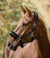 Kantar-WALDHAUSEN-First-Halter-black-03
