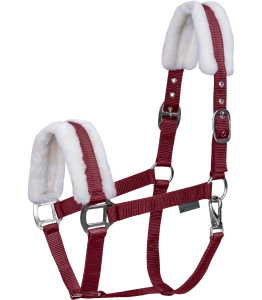 Kantar WALDHAUSEN "First Halter" bordeaux