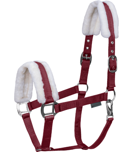 Kantar-WALDHAUSEN-First-Halter-bordeaux-01