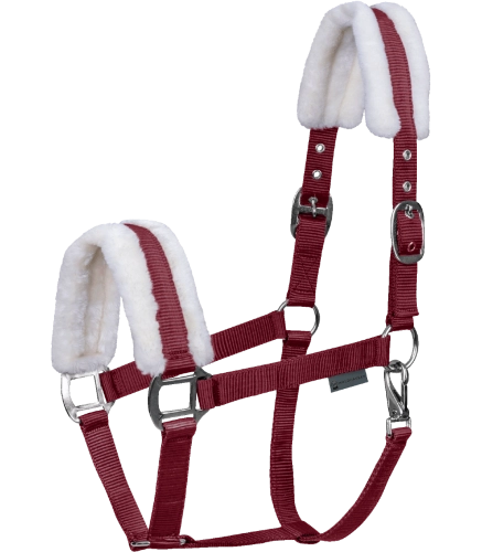 Kantar-WALDHAUSEN-First-Halter-bordeaux-01