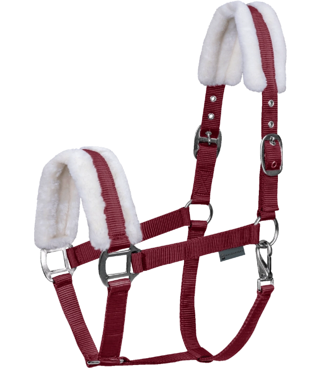 Kantar-WALDHAUSEN-First-Halter-bordeaux-01