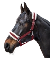 Kantar-WALDHAUSEN-First-Halter-bordeaux-02