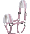 Kantar-WALDHAUSEN-First-Halter-cherry-blossom-01