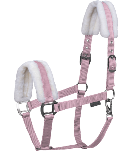 Kantar-WALDHAUSEN-First-Halter-cherry-blossom-01